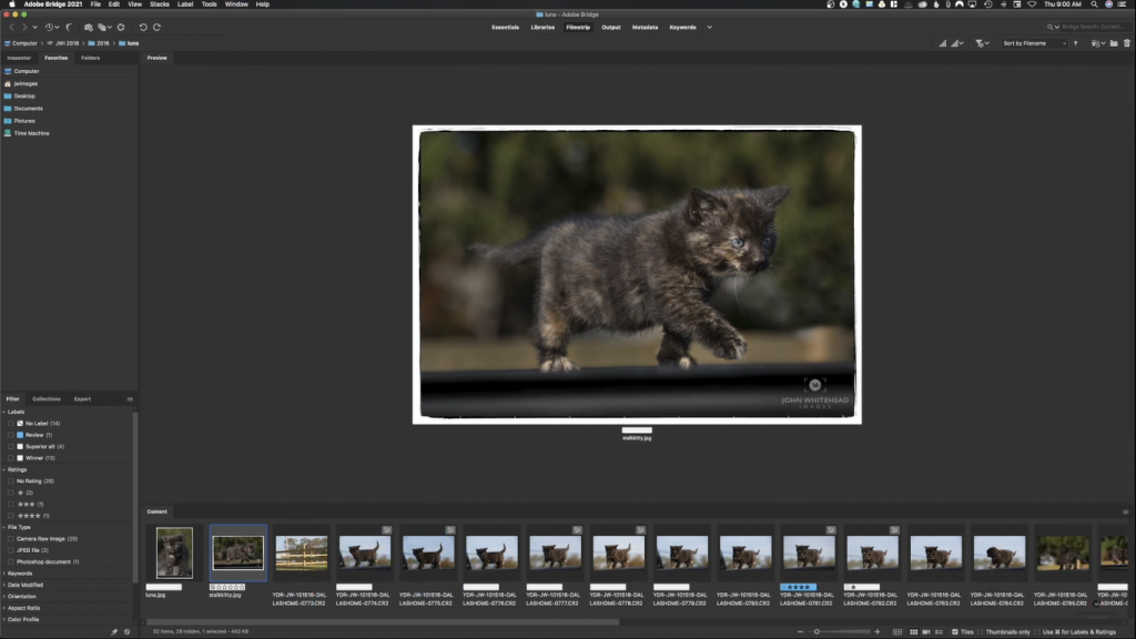 Adobe Bridge 2025 v15.1.2