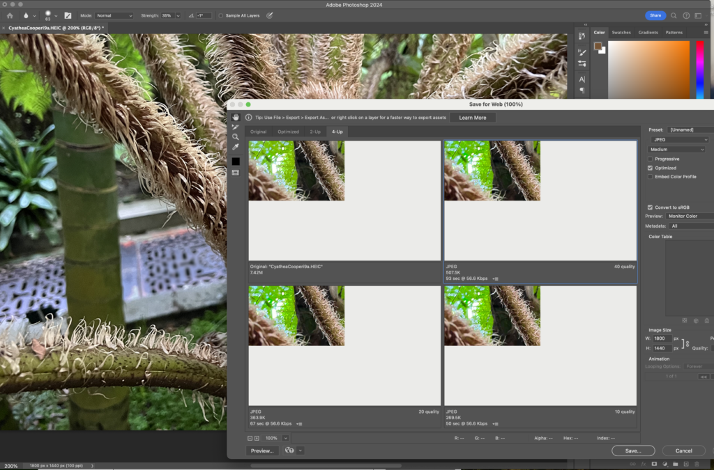 Adobe InDesign 2025 v20.0 