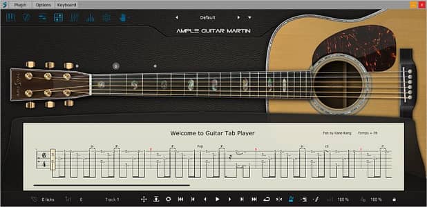 Ample Guitar M 4