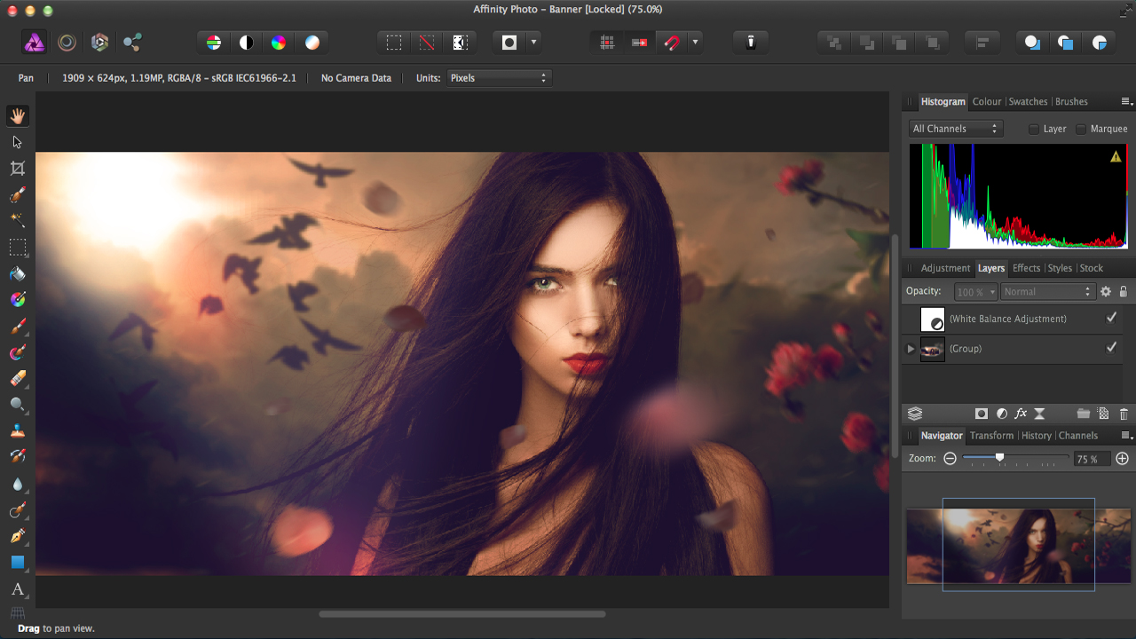 Affinity Photo 2.6.5