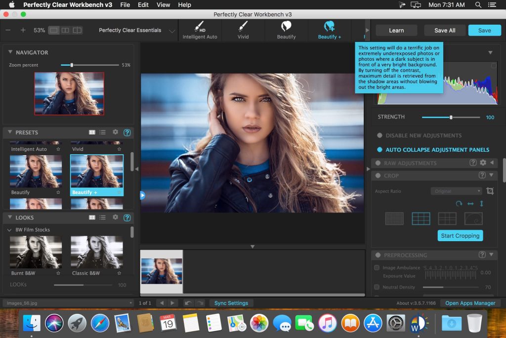 Perfectly Clear WorkBench 4.8.0.2847