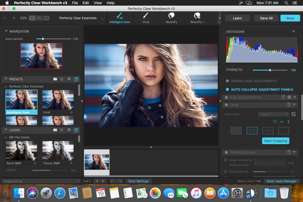 Perfectly Clear WorkBench 4.8.0.2847