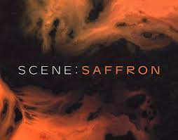 Native Instruments – Scene: Saffron 1. 2. 0 (Kontakt)