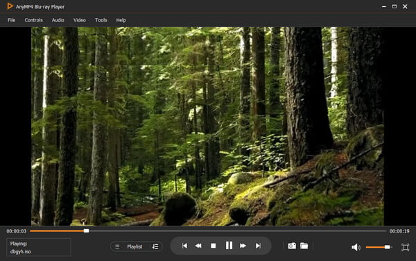 AnyMP4 Blu-ray Player 2025