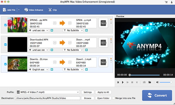 AnyMP4 Video Enhancement 2025