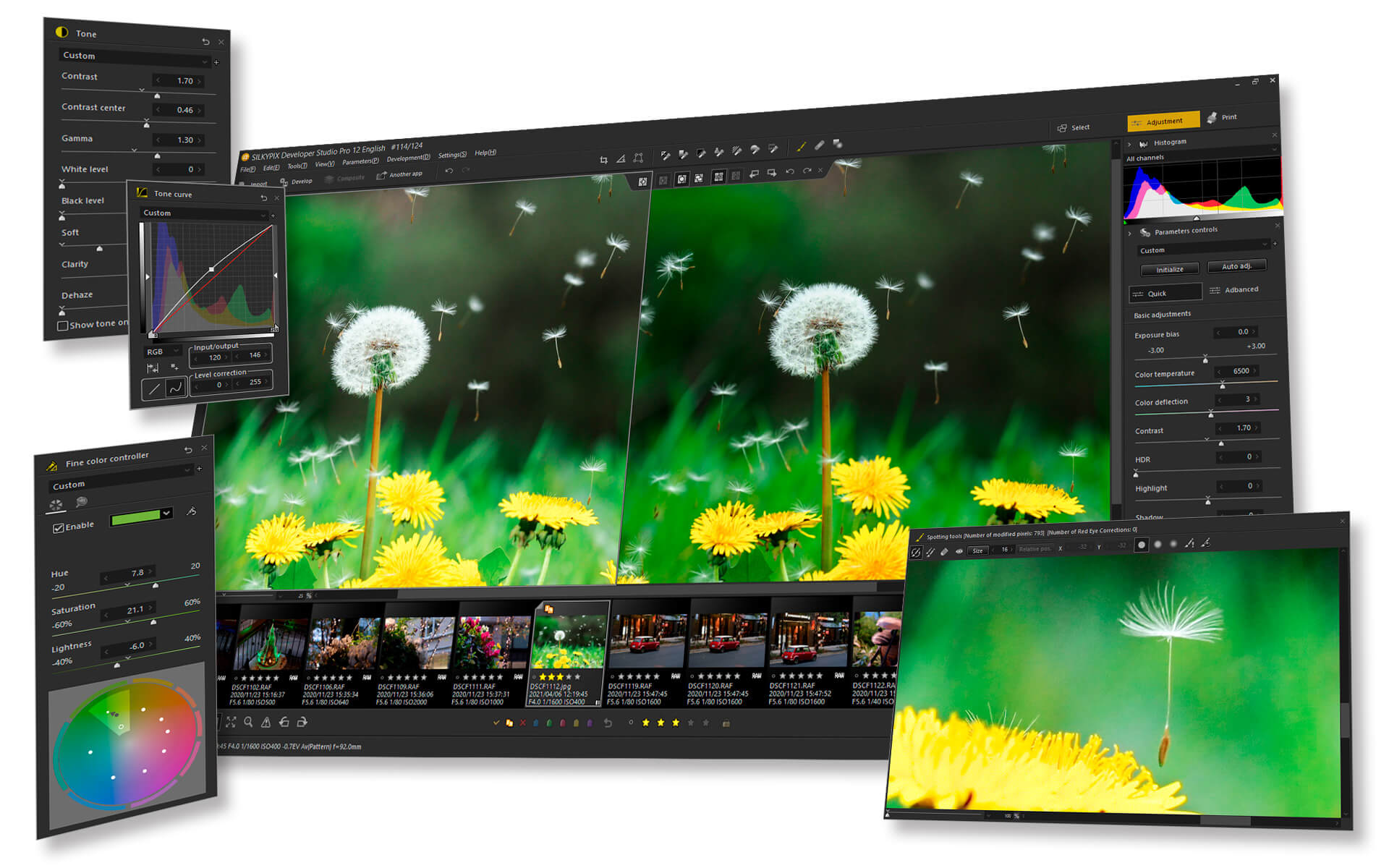 SILKYPIX Developer Studio Pro 2025