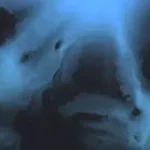 Native Instruments – Scene Willow (Kontakt) Free Download