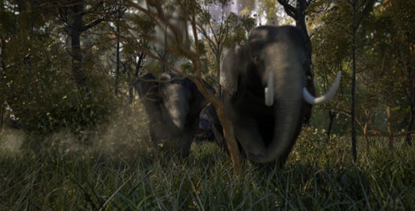 VideoHive – Elephant Logo Reveal [AEP]