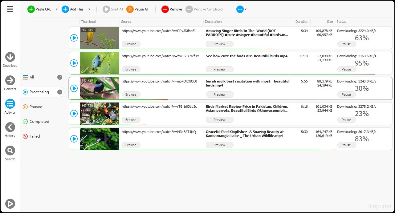Any Video Downloader Pro 2026
