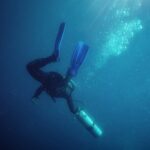 Performance Samples – Solos of the Sea Free Download