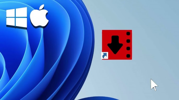 Robin YouTube Video Downloader Pro