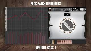 Musical Sampling – Plck (Kontakt)