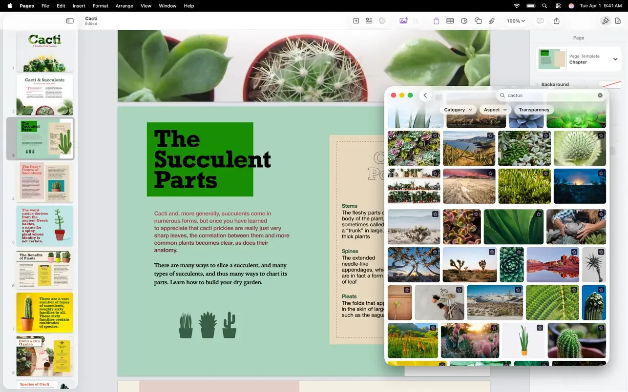 Pages Creator Studio