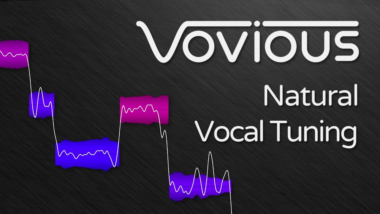 DoublePi Technologies Vovious