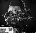 HZE – Insomnia (OMNISPHERE) Free Download