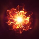 VideoHive – Flower Logo Reveal