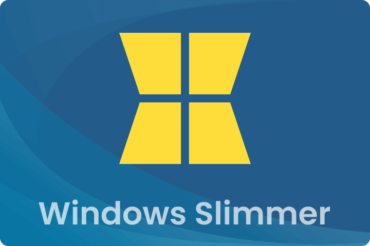 Auslogics Windows Slimmer Professional 2025