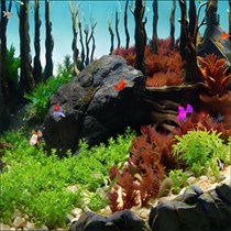 Digital Goldfish Screensaver 2026