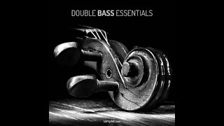 Sampletraxx – Double Bass Essentials (Kontakt) 