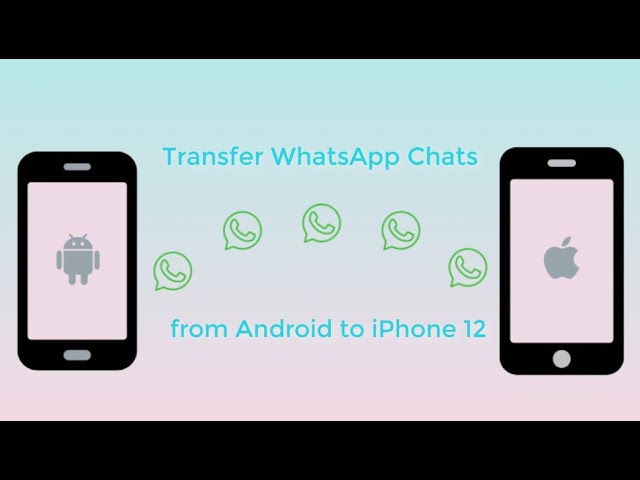 PanFone WhatsApp Transfer 2026