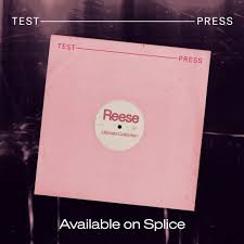 Test Press – Serum 2 Ultimate Reese (Serum2 PRESET, Wav, MIDI)