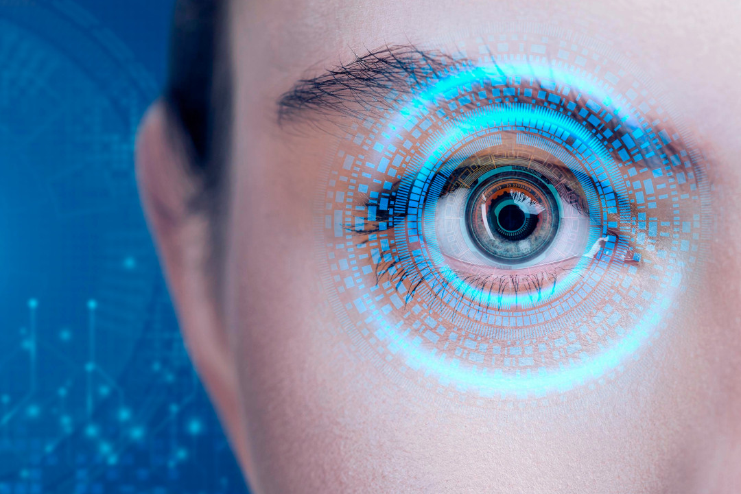 Vision Search 2026