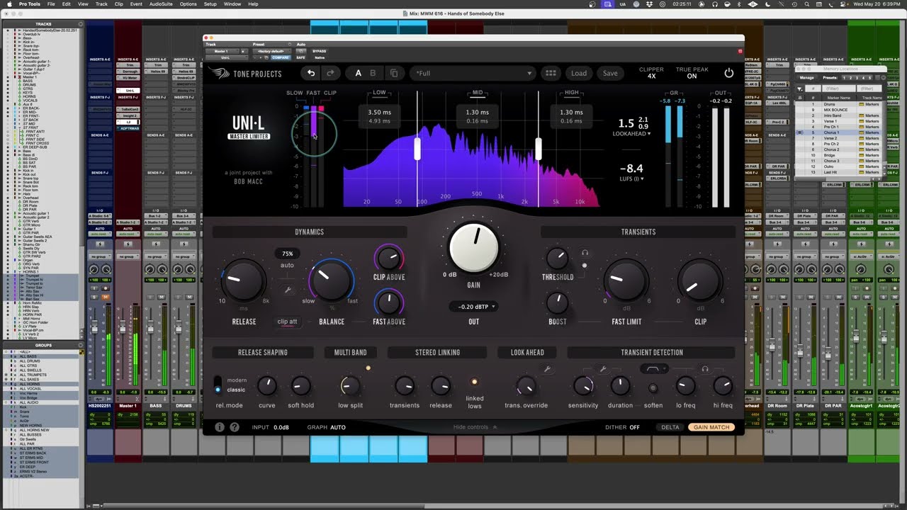 Tone Projects Uni-L Master Limiter