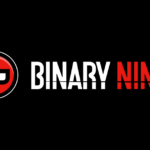 Binary Ninja 2026